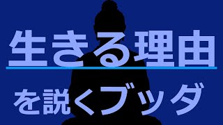 人間が「生きる」という選択をする理由【仏教の教え】