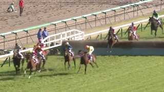 中山グランドジャンプ 2013年 ブラックステアマウンテン