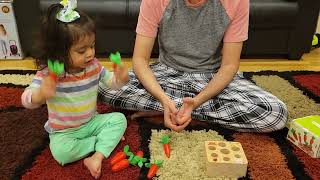 SMTTW Montessori Toys Baby Carrots Harvest Educational Wooden Toys Shape Size Sorting Puzzle