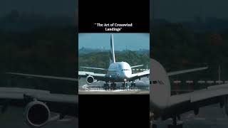 The art of Crosswind landings #aeroplane #aviation #aviationlovers #airplane #emirates #crosswinds