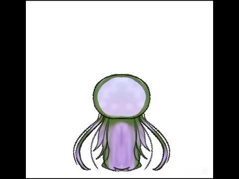 海月