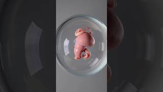5-Week Embryo Development Inside the Womb | 3D Medical Animation  #anatomy #aihealth