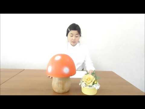 勉強時間