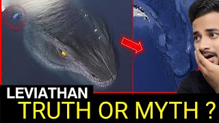 Leviathan: The Giant Snake Sea Monster - Truth or Myth?