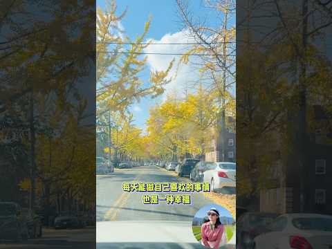 2024年11月14日