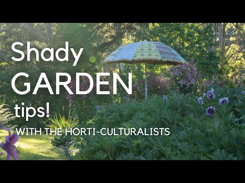 Shade gardening success with The Horti-Culturalists + how to choose the best plants for shade