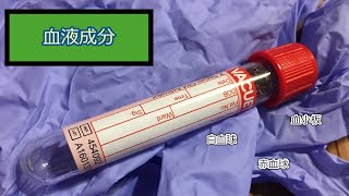【ゆっくり】血液成分