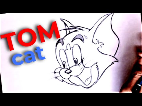 How to draw Tom Cat | Cartoon | Tom and Jerry