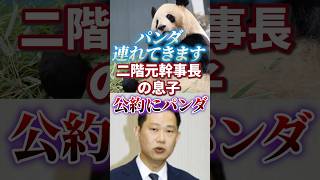 [Nikai Nobuyasu] Pledge is a panda | Wakayama Prefecture electoral district | House of Councillor...