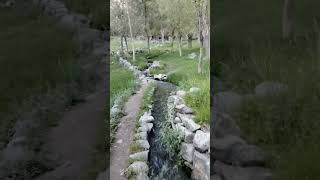 water stream in village