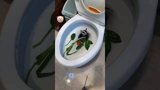 Washed vegetables in the toilet 🪠😡 #shortsvideo #youtubeshorts #akga