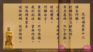 《佛说大乘无量寿庄严清净平等觉经》会集本 - 崔居士恭读 (高清版)