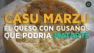 Casu Marzu: El queso con gusanos que podría matarte