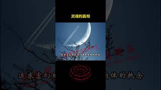 灵魂的真相是什么?  | 修行 | 开悟 | 觉醒 | 智慧 | 修行者