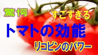 トマトのリノール酸は中性脂肪に効果的　トマトの効能