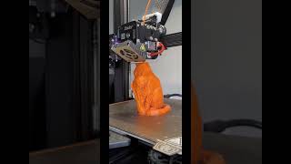 Impressão 3d Gato com caveira #3d #3dprinting #cat #catvideos #cute #toys #dktech