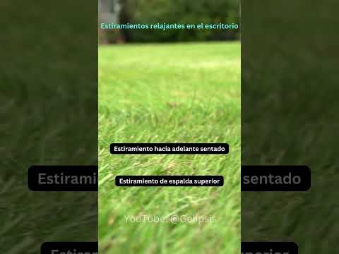 Estiramientos relajantes en el escritorio