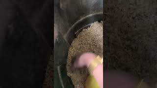 How to get oil off your skin without soap #tips #tipsandtricks #mechanic #mechanictips #oilchange