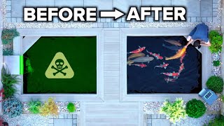 COMPLETE POND DETOX - The NEW PRODUCT Solving Koi Pond Issues