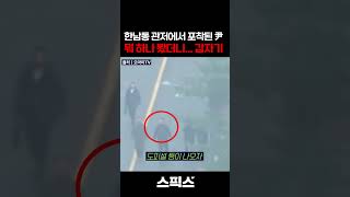 충격! 한남동 관저에서 포착된 불법 점유자 윤석열 뭐 하나 봤더니... 갑자기 고개를 돌리더니...