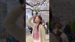아직도 모자이크하세요? 여친만 선명한 벚꽃 인생샷 건지는 방법💗 #벚꽃구경 #사쿠라 #cherryblossom