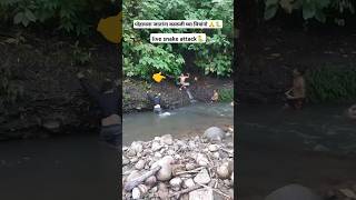live snake attack 🐍 | #waterfall #water #snakes #snakevideo #snakeattack #banjoparty #youtubeshorts