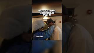 DDG protects India’s heart from Duke Dennis #ddg #indialove #dukedennis