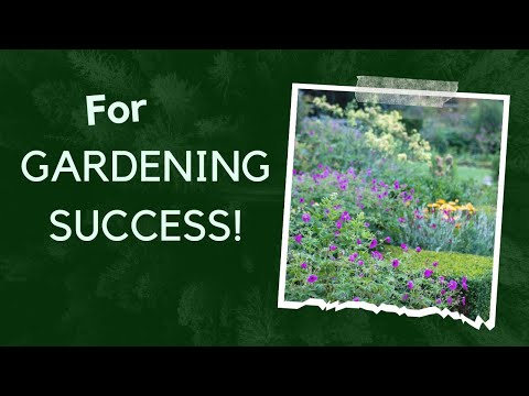 Gardening for beginners ...easy tips and simple explanations