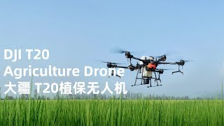 大疆创新  DJI T20 agricultural drone 植保无人机 智勇双全