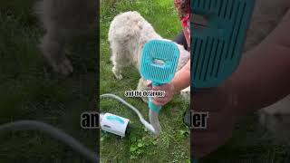 LGD portable groomer for the farm