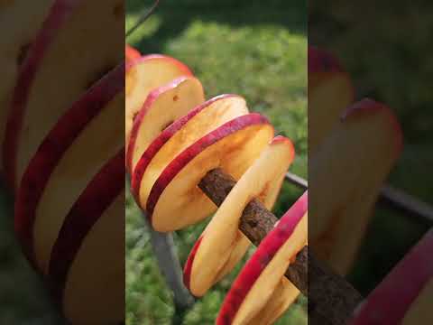 Preserving apples with or without electricity 🍎