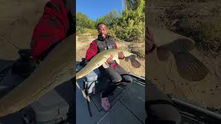 Alligator Gar 🐊CATCH & COOK With CASH NASTY (Is It Any Good⁉️)