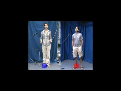 SupplementalVideoACCV 2