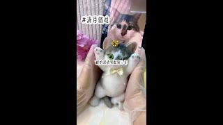 失口～乎《清月做戏》#小说推文每日更新 #文荒推荐 #每日好文推荐 #拯救书荒