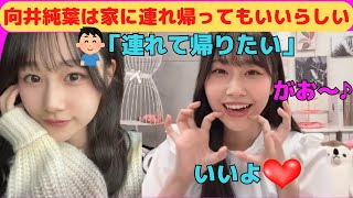 【向井純葉】いとちゃんは家に連れて帰ってもいいらしい/文字起こし（櫻坂46・3期生）