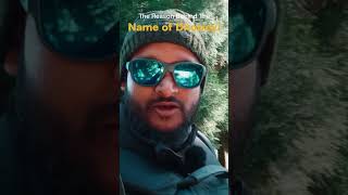 Sandakphu Phalut Trek! The Reason Behind The Name of Dhotrey! #ytshorts #shorts #sandakphutrek
