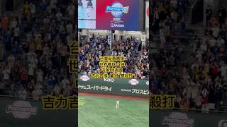 2024 世界棒球12強 中華 VS 美國 吉力吉撈·鞏冠 雙殺打 #世界棒球12強賽 #12強棒球賽 #中華隊 #中華隊  #美國隊  #吉力吉撈鞏冠 #wbsc #premier12 #台灣尚勇