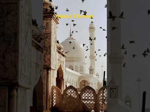 beautiful Islamic status, Islamic status on Muslim, 4K Islamic status