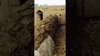 village #village #villagelife #viral #mud  #ytshorts #shorts #wall  #mudwork  #shortsfeed