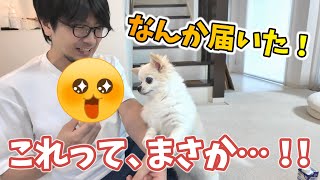 なんかスゴイもん届いた！！