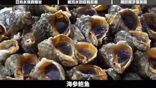 日本排放核污水有什么危害？67年的水俣病就是答案，骇人听闻！