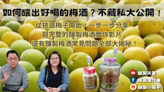 【釀製夫妻】如何釀出好喝的梅酒？基礎版不藏私大公開Plum Wine｜梅酒釀製全程｜想釀出好喝的梅酒必看｜從挑選梅子開始一步分享｜青梅黃梅熟度挑選｜釀製進行曲｜釀製小幫手｜釀製實作｜科學釀製｜釀酒技巧