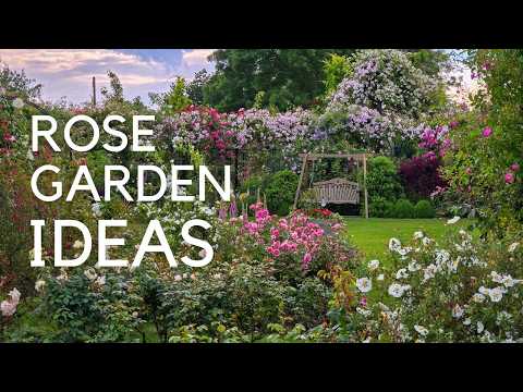 Choosing Roses: Arches, Pergolas, Fences, Obelisks...expert tips for a gorgeous garden!