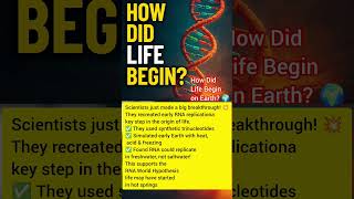 🧬 How Did Life Begin on Earth? 🌍#shorts