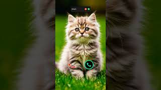 #smartphone #ringtone #tech #call #ringtones #iphone #mobiletech #innovation #unveiling #iphone15