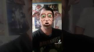 #doby #harrypotter #mundomagico