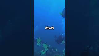 Top 5 Scary Ocean Facts! #ScaryOceanFacts #OceanMysteries #DeepSeaHorrors  #UnderwaterVolcanoes