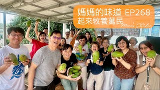 起來牧養萬民 To Raise and Disciple All Nations｜媽媽的味道 Mama's Kitchen EP268