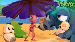 Bugs on the Beach! | Antiks 🐜 | Funny Cartoons for Kids