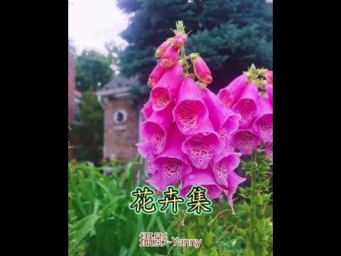 2024年10月23日